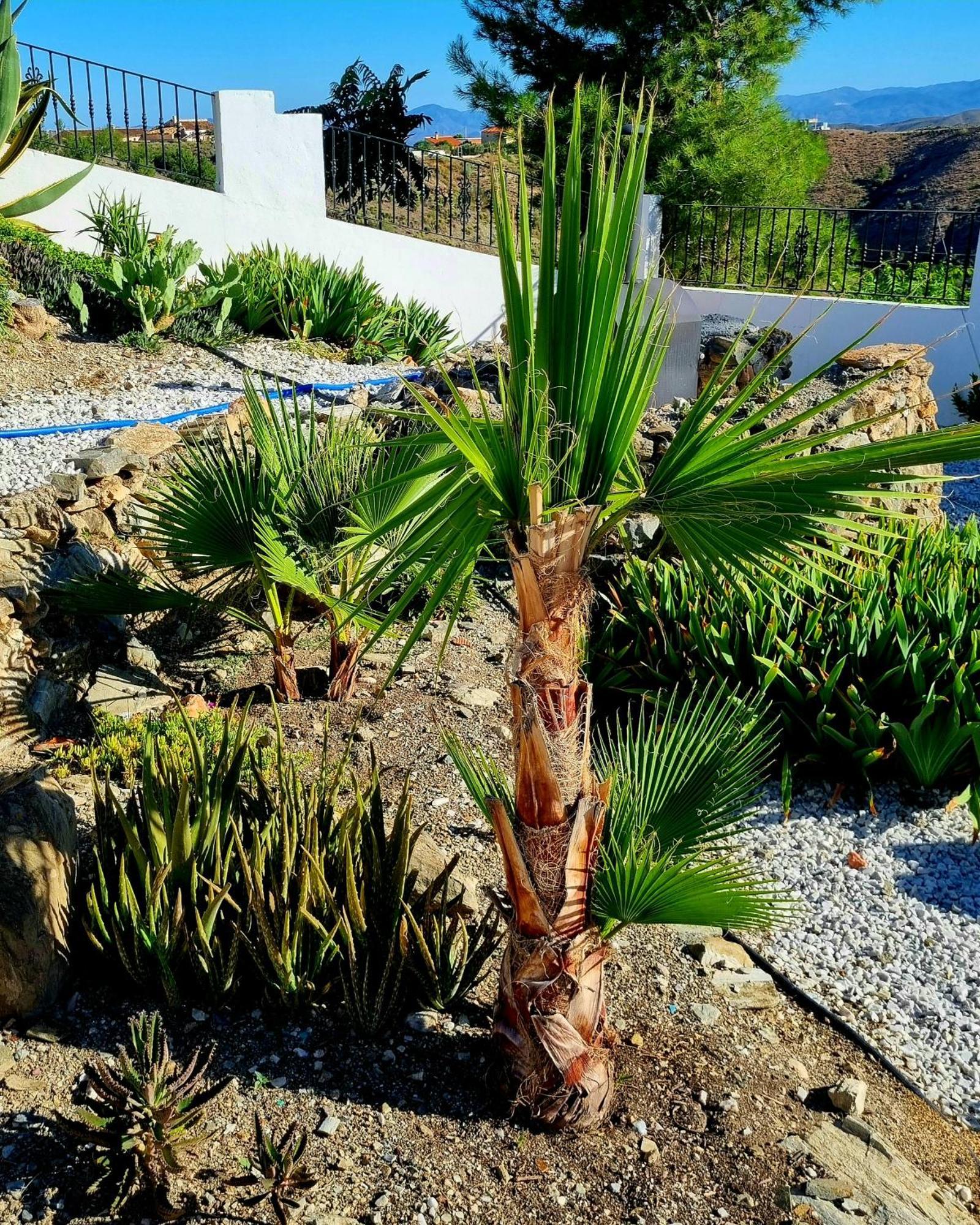 Cortijo Naturista Con Vistas-Clothing Optional Oria Exterior foto