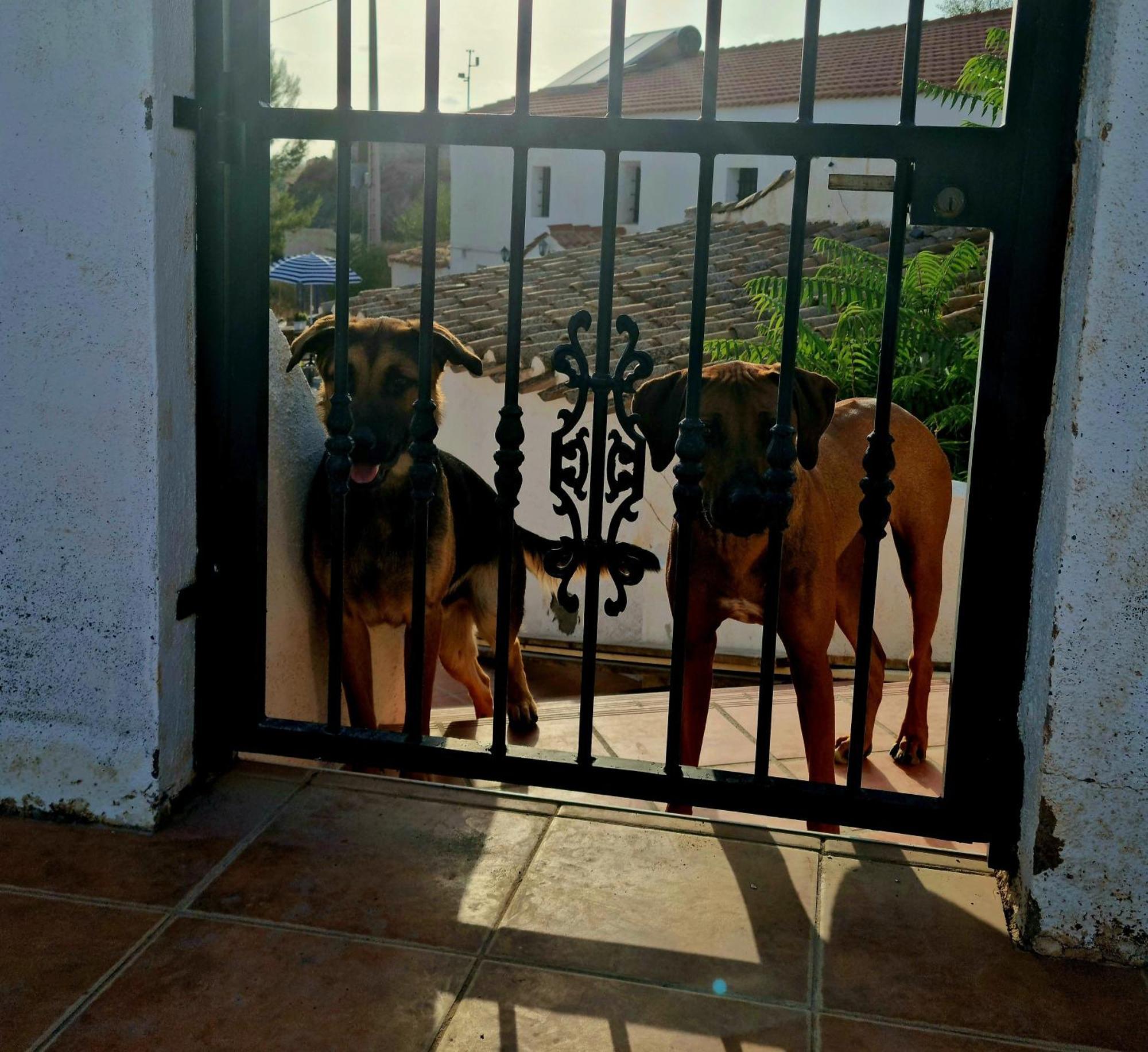 Cortijo Naturista Con Vistas-Clothing Optional Oria Exterior foto
